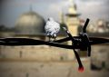فلسطین محور عمده مسائل جهان اسلام فلسطین محور عمده مسائل جهان اسلام